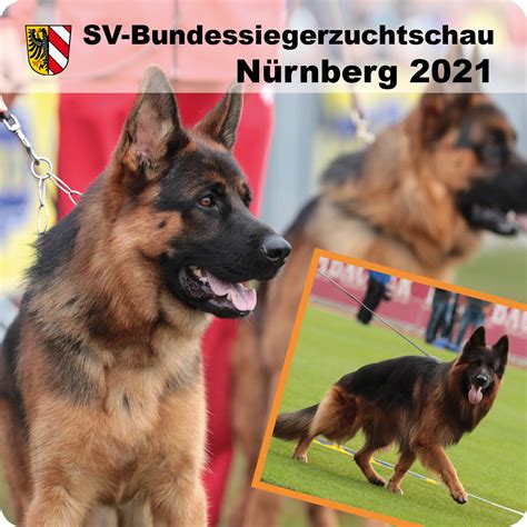Verein für Deutsche Schäferhunde (SV) e.V..